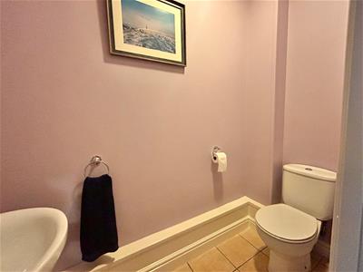 Picture 24
